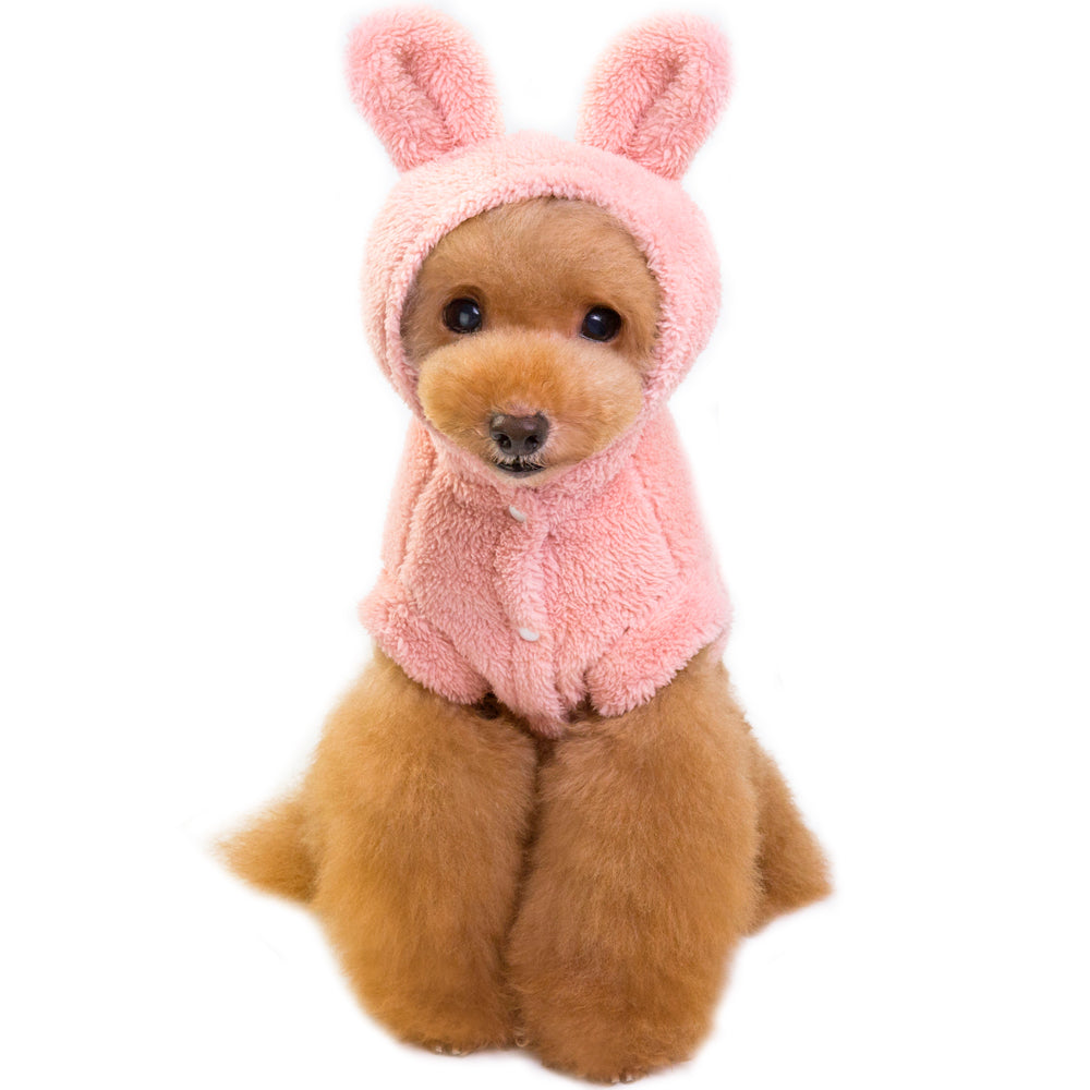 犬服