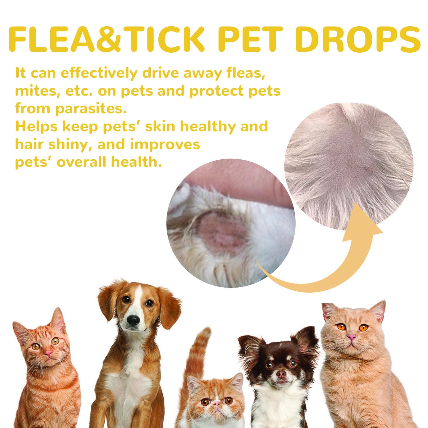猫と犬の外部寄生虫駆除、ノミ・ダニ対策、スキンケア