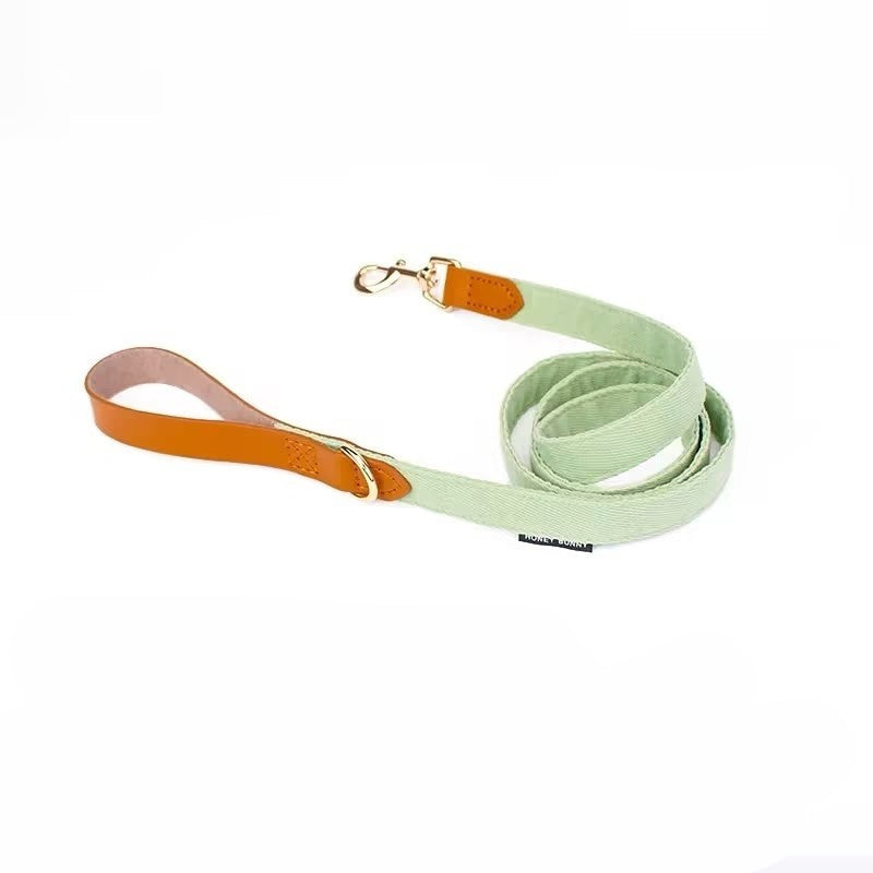 犬用レタリングレザーボウノット首輪手持ちロープ