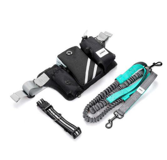 ペット用お散歩トレーニングバッグ リード付き