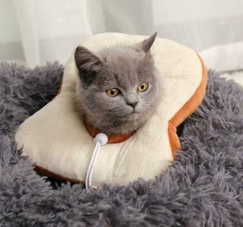 猫用エリザベスカラー、手術後の傷口保護、回復用ソフトレモン型猫用回復首輪、調節可能、子猫と子犬に