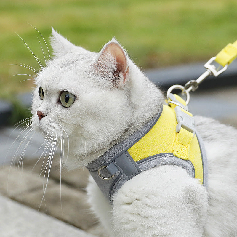 おしゃれな小型犬用ベストハーネスリードセット