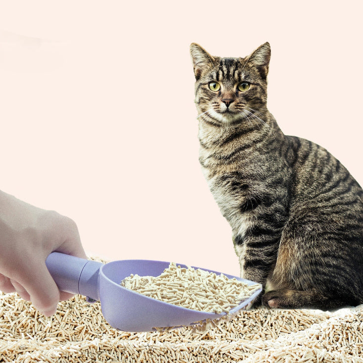 猫用トイレ スコップ プラスチック 猫うんちスコップ スタンド付き ペット清掃用品 猫トイレ用品 耐久性のある猫砂クリーナー ショベル ペット用品