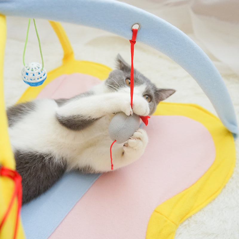 猫おもちゃ 面白い 猫じゃらし 面白い 猫のおもちゃセット 子猫のおもちゃ ペット用品