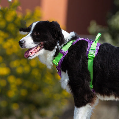 ペット犬用チェストストラップ 迷彩柄手持ちロープ