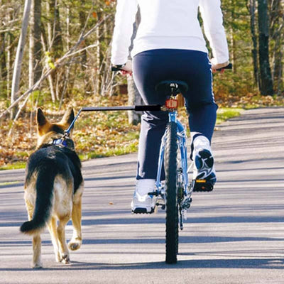 自転車犬散歩用手持ちリード