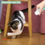 猫用おもちゃ インタラクティブ 充電式レーザーポインター 猫じゃらし 羽根おもちゃ付き 2-in-1 猫用おもちゃ 室内猫 子猫 ペット用レーザーおもちゃ 遊び用