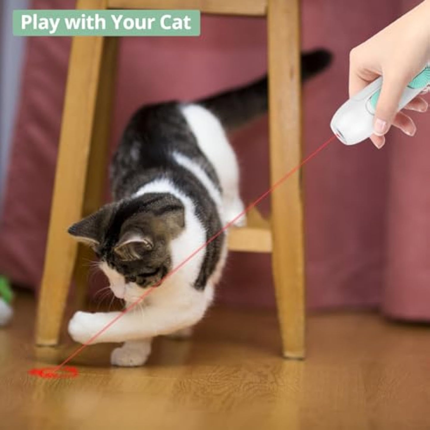 猫用おもちゃ インタラクティブ 充電式レーザーポインター 猫じゃらし 羽根おもちゃ付き 2-in-1 猫用おもちゃ 室内猫 子猫 ペット用レーザーおもちゃ 遊び用