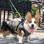 小型犬用ペット服 冬用暖かドッグパーカーコートジャケット チワワ パグ服 子犬 猫用衣類