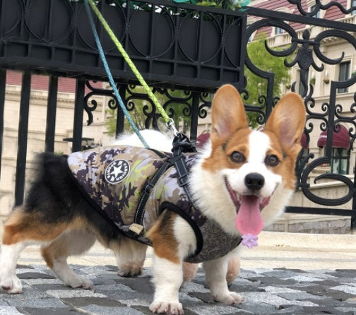 小型犬用ペット服 冬用暖かドッグパーカーコートジャケット チワワ パグ服 子犬 猫用衣類