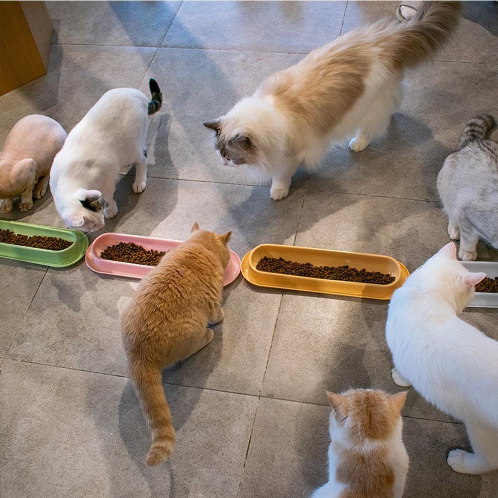ペットボウル ドッグフード ウォーターフィーダー 漏れ防止 猫犬用フードフィーダー 複数子猫・子犬用ペット用品 ホットセラー
