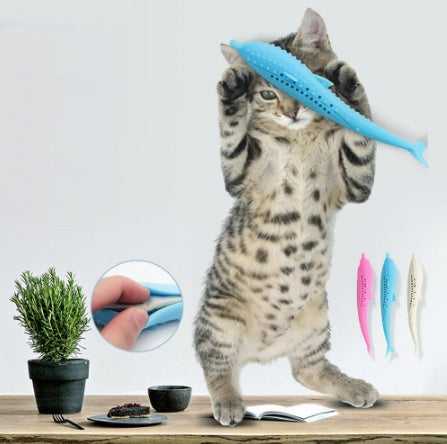 猫用歯ブラシおもちゃ