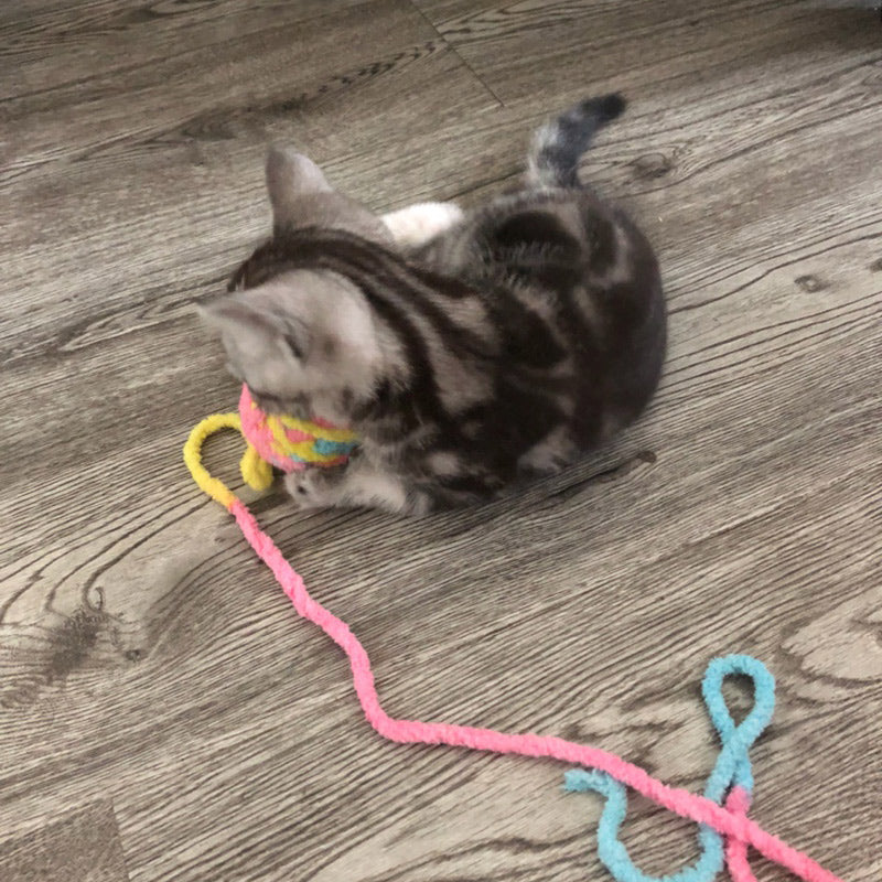 毛糸玉 猫のおもちゃ 面白い猫の棒