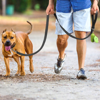 反射材付き犬用リード