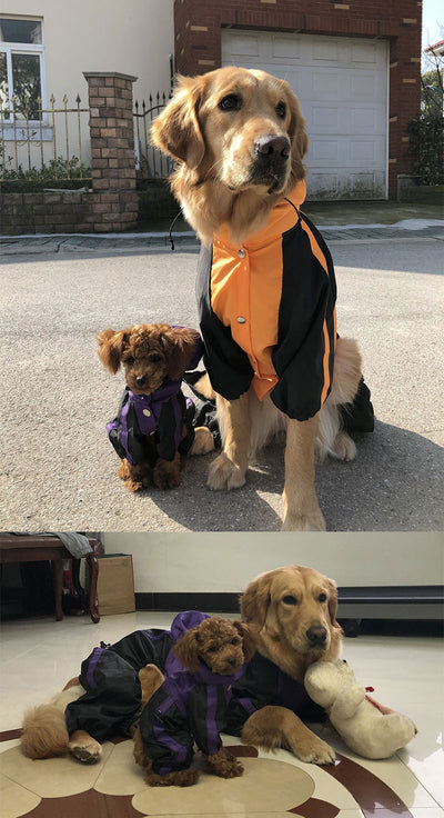 大型犬用ペットレインコート