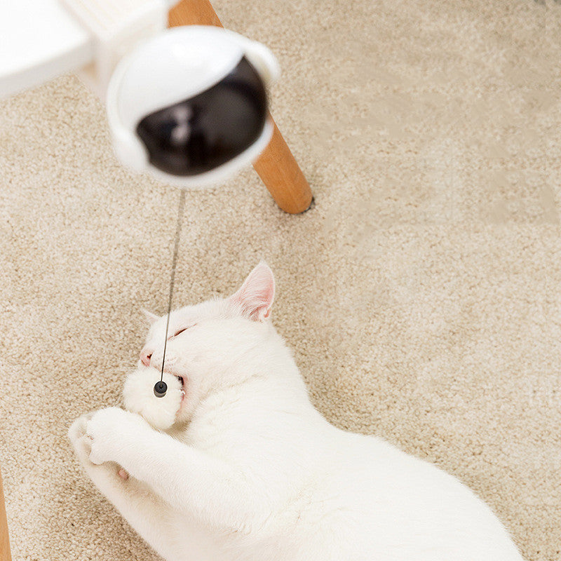電動自動昇降式おもしろ猫おもちゃ