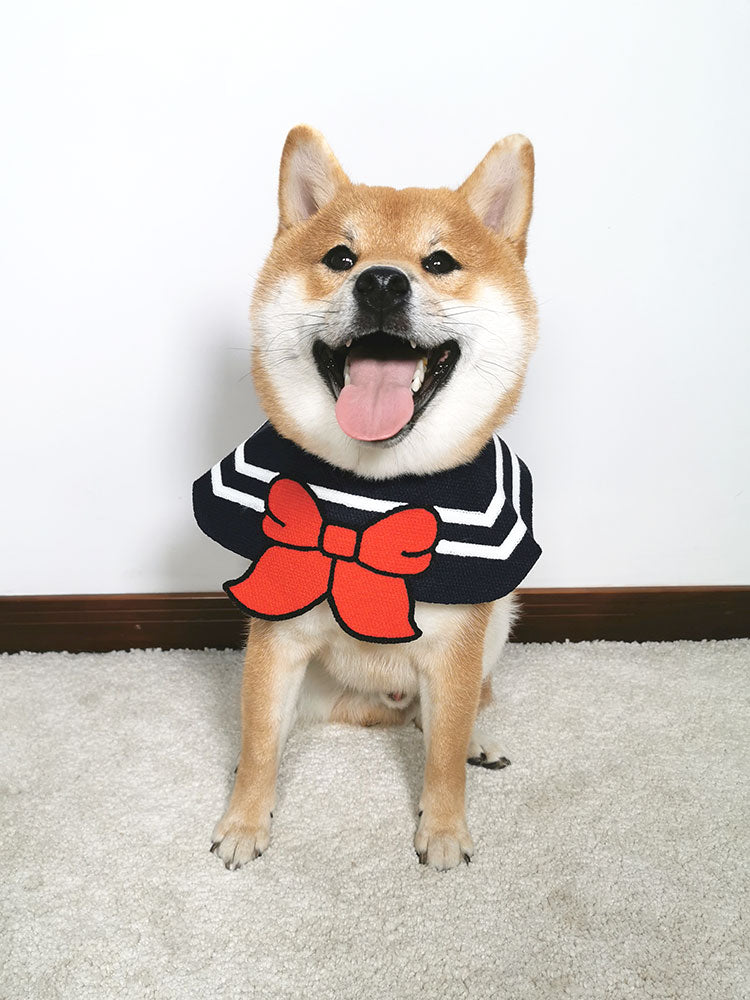 ペット用首輪
