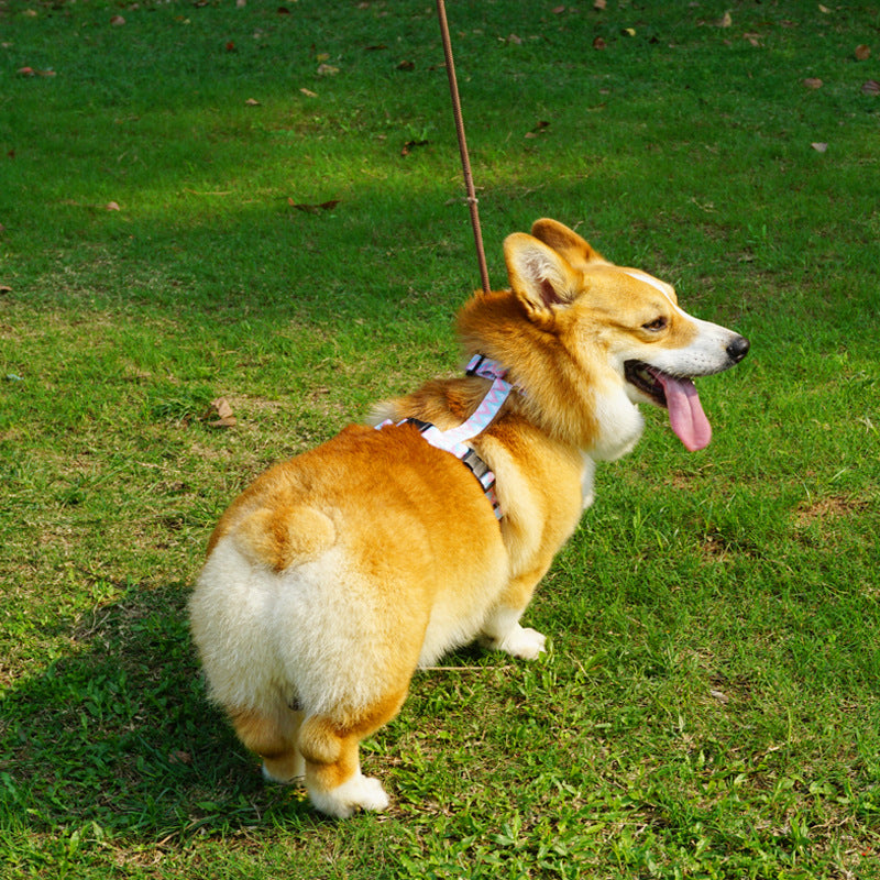 犬用ロープハーネス 反射材付き