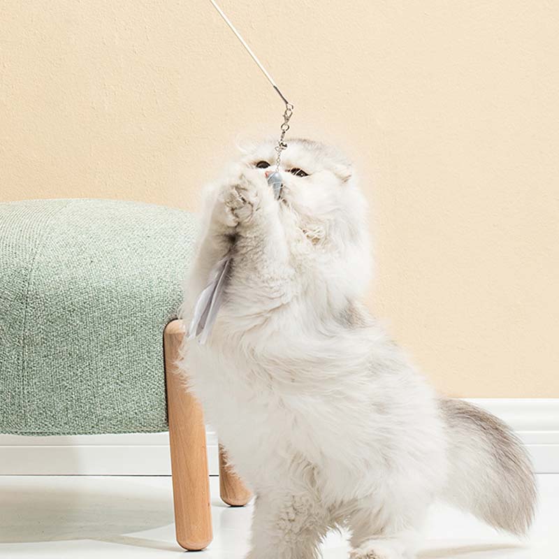 猫用おもちゃ レーザーセット 羽毛 面白い猫じゃらし