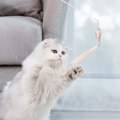 猫用おもちゃ レーザーセット 羽毛 面白い猫じゃらし