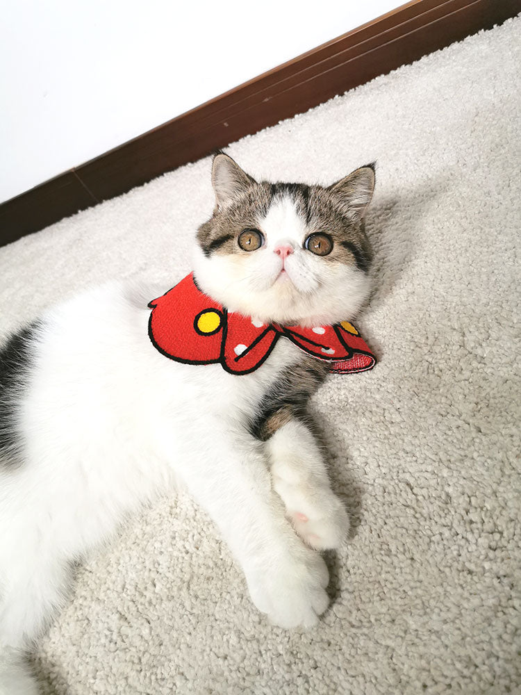 ペット用首輪