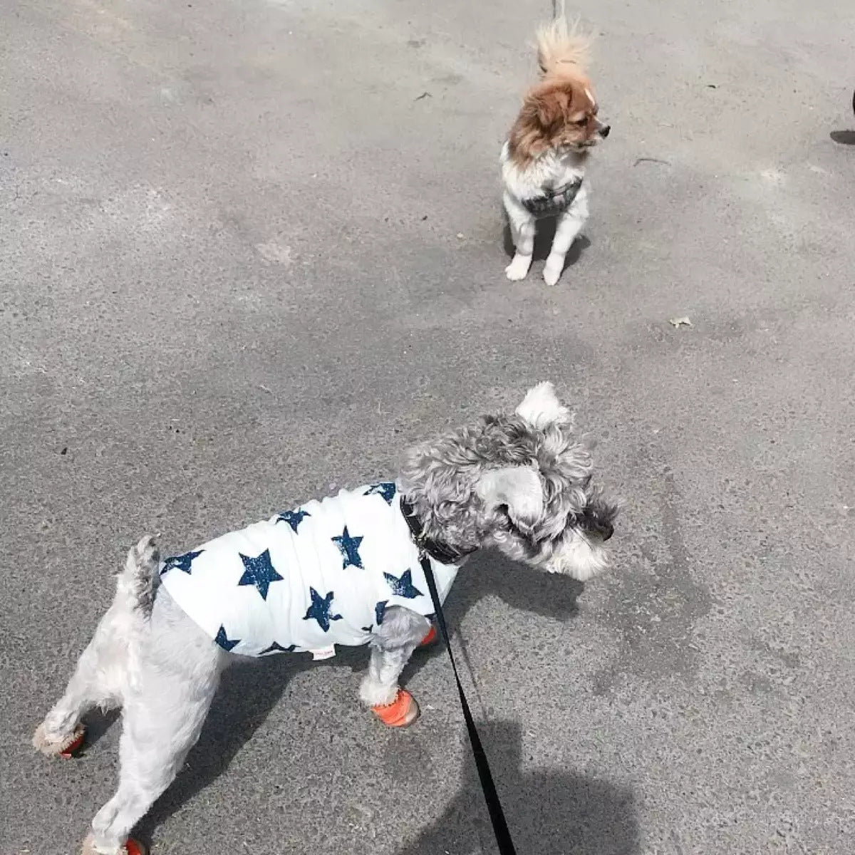 ペット服 犬服 ペット犬服