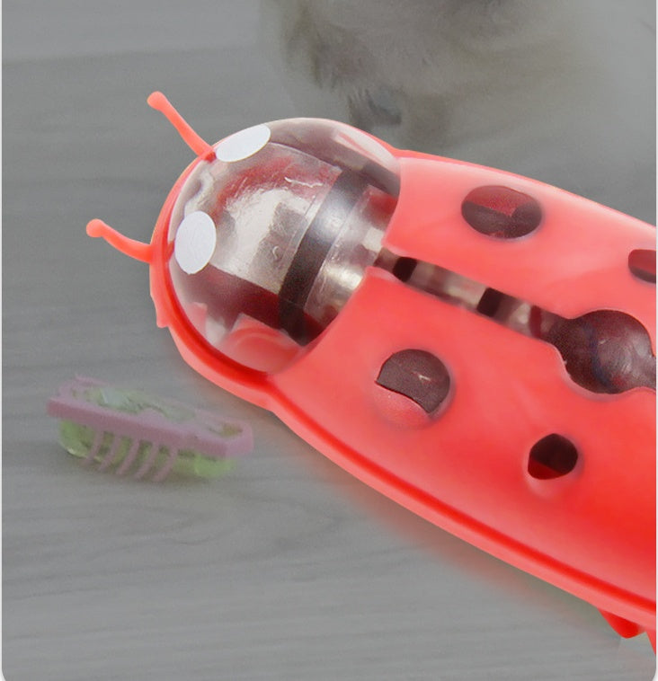 電動てんとう虫猫おもちゃ 猫用インタラクティブ玩具 面白い猫用インタラクティブ玩具