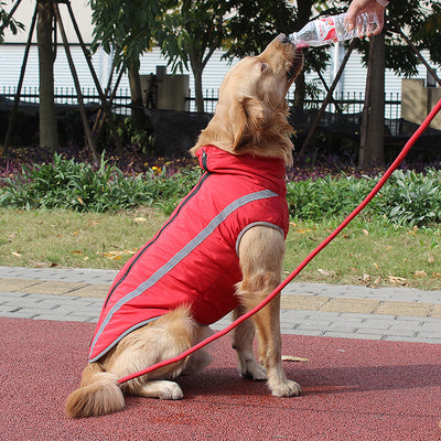 ペット犬服卸売 冬用新作 反射パッド入り 暖かいラブラドールジャケット