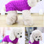 カシミアツイストロープペットセーター、犬服、ペット用品