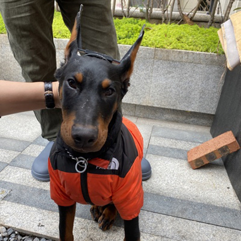 ドーベルマン・ピンシャー犬用耳ケアツール 耳立て