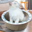 猫用爪とぎボード段ボール製巣箱