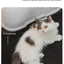 ペット猫用EVA二層洗面台マット 飛び散り防止フィルター砂 猫用トイレマット 耐摩耗性 傷防止 キャッテリーパッド