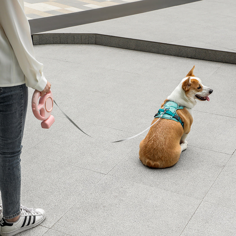 自動格納式犬用手持ちリード（LEDライト付き）