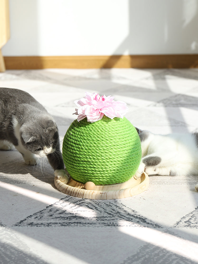 猫用爪とぎおもちゃ
