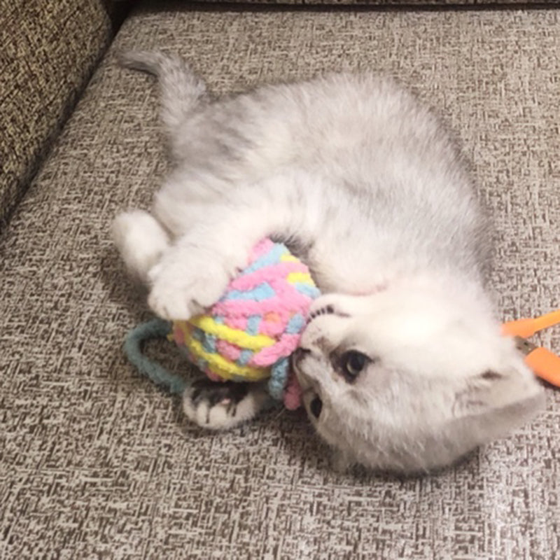 毛糸玉 猫のおもちゃ 面白い猫の棒