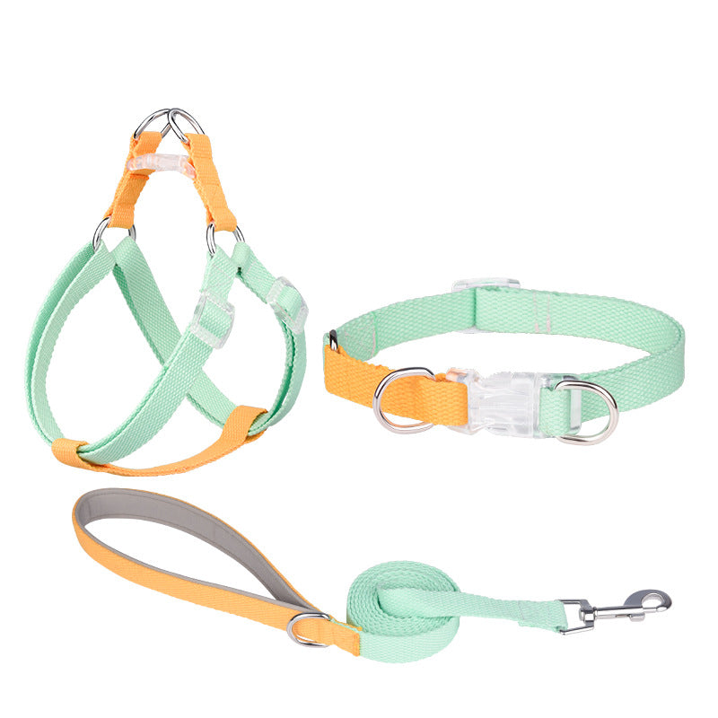 ポリエステルリボン犬用首輪ペット手持ちロープ