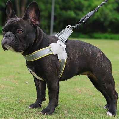 新作 犬用胸当て 牽引ロープ 通気性メッシュ ペット用リード 手持ちロープ