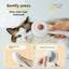 充電式2in1ペットネイルトリマー コーム付き 電動猫犬グルーミングクリーニングブラシ ペットケアツール