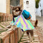 マイクロクリスタル反射犬服