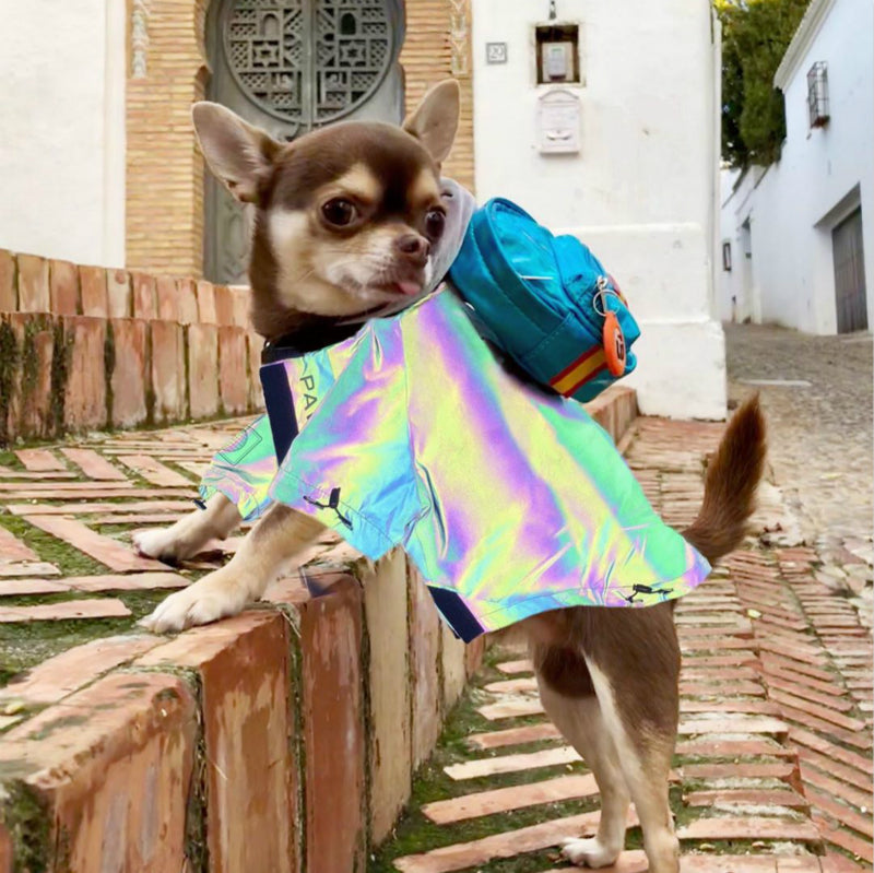 マイクロクリスタル反射犬服