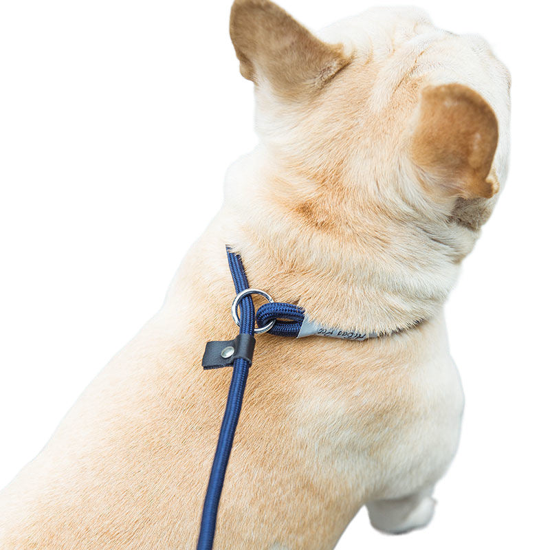 犬の散歩トレーニング用手持ちロープ