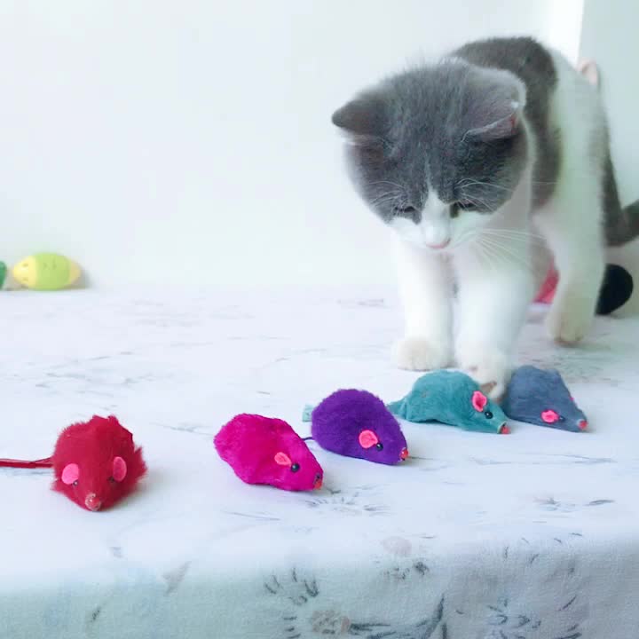 猫のおもちゃ、小さなマウス、面白い猫のパズル、減圧おもちゃ