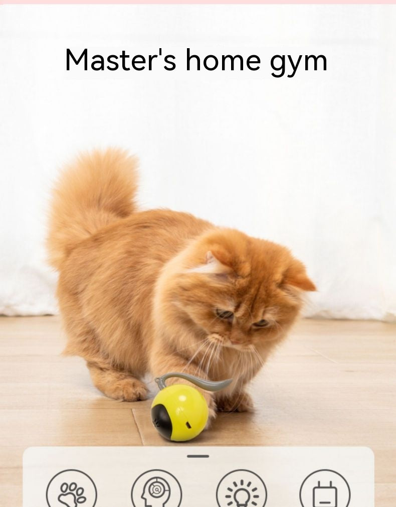 猫用電動おもちゃボール