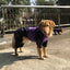 大型犬用ペットレインコート