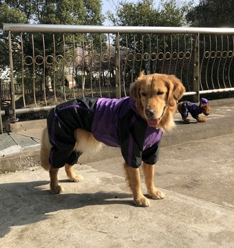大型犬用ペットレインコート