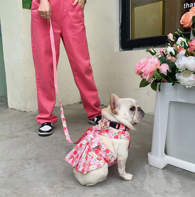 犬用ユニバーサルコットン青白スカート、手持ちロープ付き