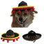 メキシカンスタイルペット帽子 犬用帽子 ペット用品