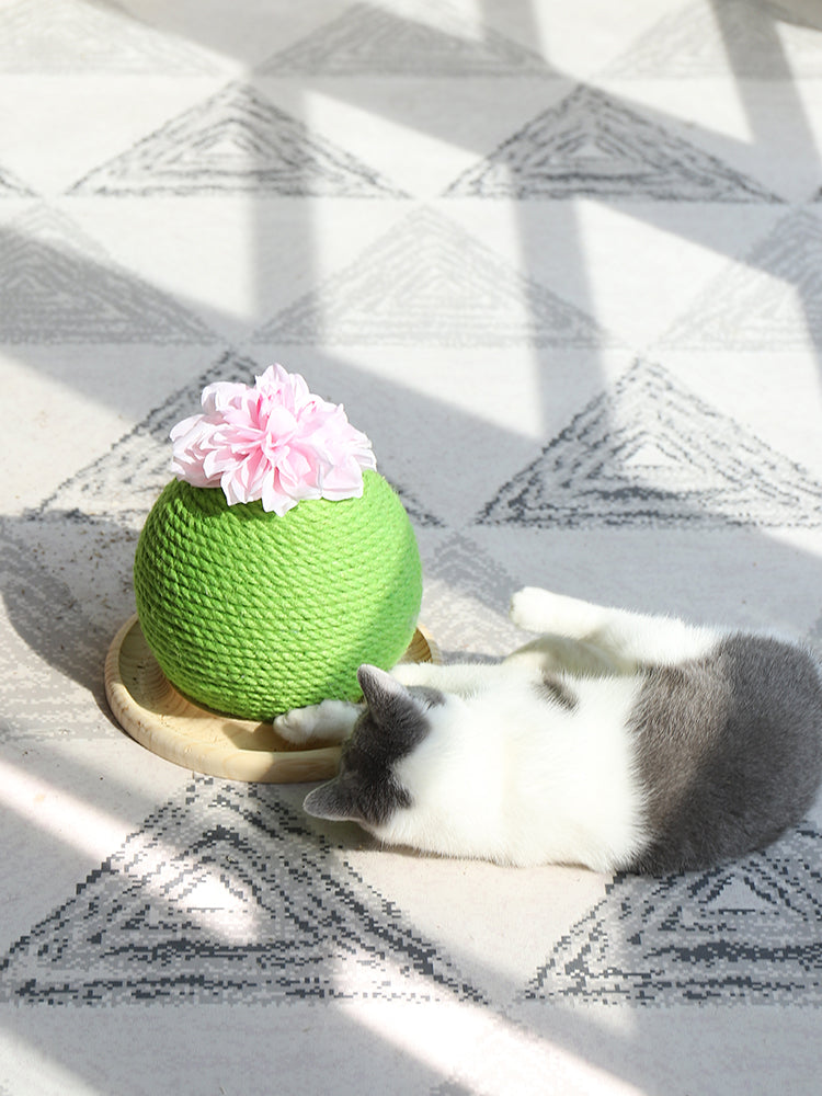 猫用爪とぎおもちゃ