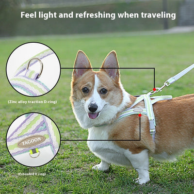 犬用ロープ型リード付きポータブルハーネス