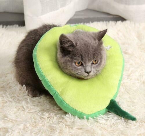 猫用エリザベスカラー、手術後の傷口保護、回復用ソフトレモン型猫用回復首輪、調節可能、子猫と子犬に